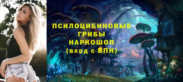 тгк Липки