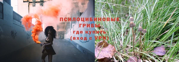 тгк Липки