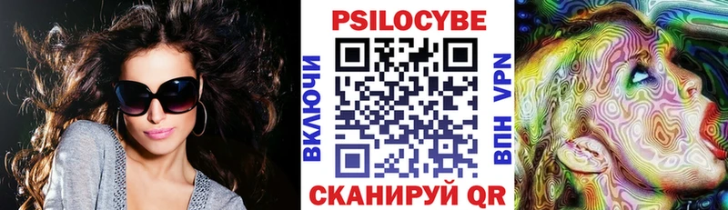 Псилоцибиновые грибы Psilocybe  Купить  Тамбов 